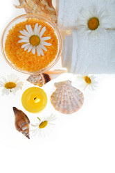 Similar image 1386439