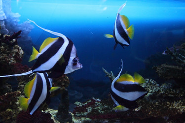 Similar image 1386441