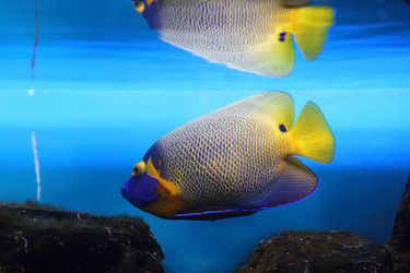 Similar image 1386442