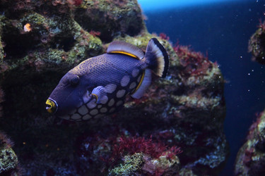 Similar image 1386443