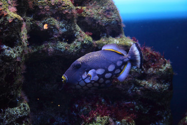 Similar image 1386446