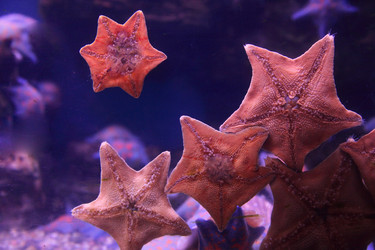 Similar image 1386447