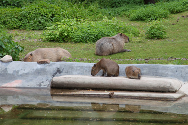 Similar image 1386452