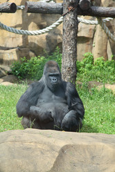 Similar image 1386453