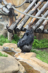 Similar image 1386455