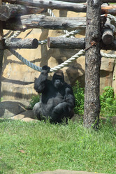 Similar image 1386456