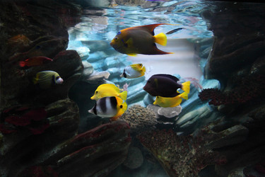 Similar image 1386457