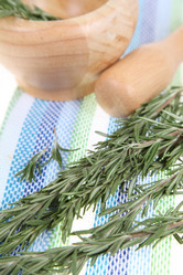 Similar image 1386471