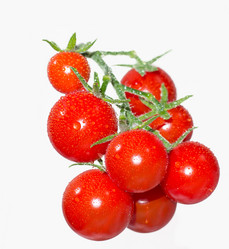 Similar image 1386491