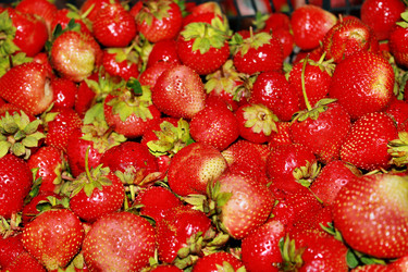 Similar image 1386499