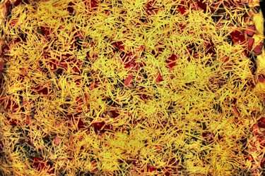 Similar image 1386500