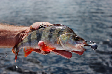 Similar image 1386505