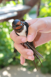 Similar image 1386507