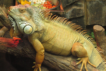 Similar image 1386508