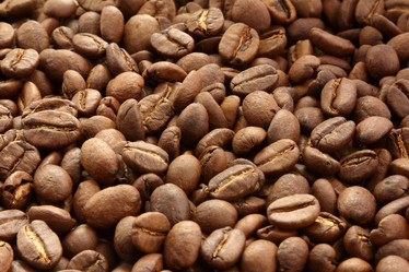 Similar image 1386510