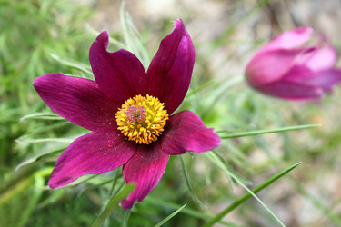 Similar image 1386511