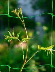 Similar image 1386524