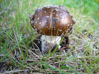 Similar image 1386549