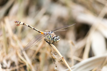 Similar image 1386550