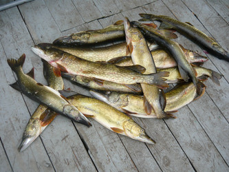 Similar image 1386551