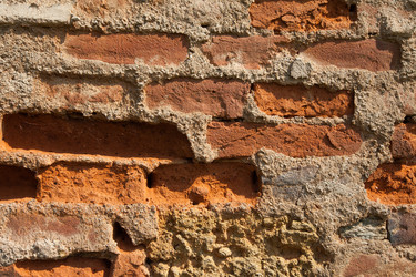 Similar image 1386569