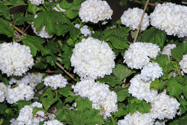 Similar image 1386592