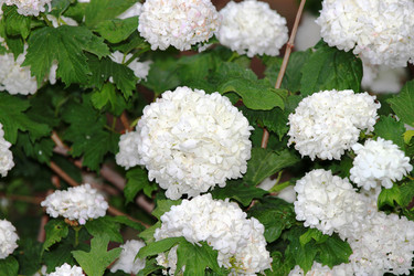 Similar image 1386598