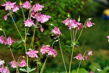 Similar image 1386599