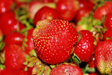 Similar image 1386622