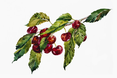 Similar image 1386628