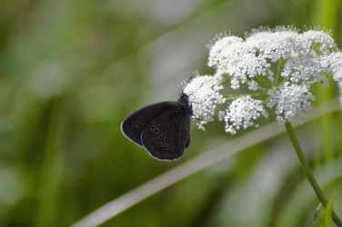 Similar image 1386662