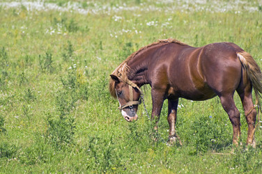 Similar image 1386666