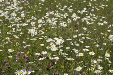 Similar image 1386673