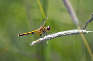 Similar image 1386674