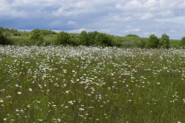 Similar image 1386676