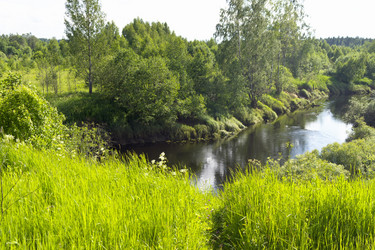 Similar image 1386677