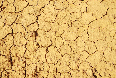 Similar image 1386686