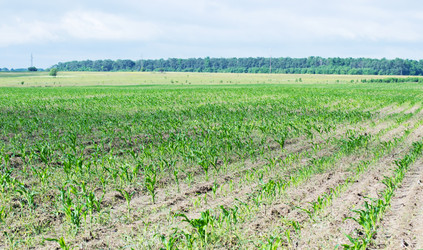 Similar image 1386705