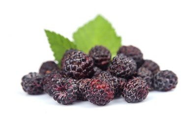 Similar image 1386712