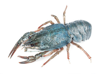 Similar image 1386716