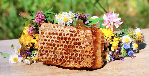 Similar image 1386726