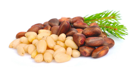 Similar image 1386729