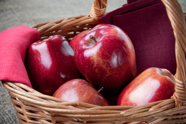 Similar image 1386755