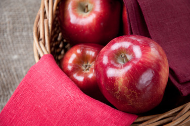 Similar image 1386756