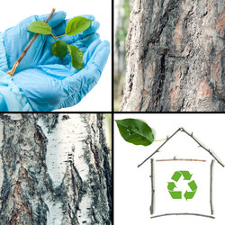 Similar image 1386757