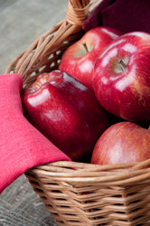 Similar image 1386762