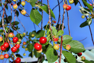 Similar image 1386858