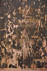 Similar image 1386860