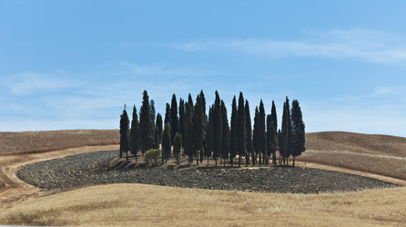 Similar image 1386900