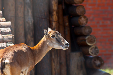 Similar image 1386915